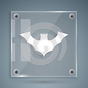 White Flying bat icon isolated on grey background. Square glass panels. Vector