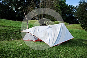 White flysheet cover tent on green grass ground in forest