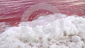 White foam accumulations on shore of the pink salty Syvash lake in Kherson region, Ukraine