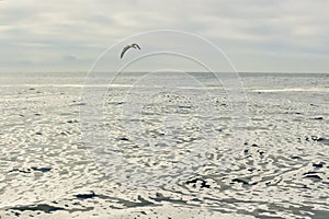 White foam on an still ocean water surface.