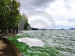 White foams on the green lake water