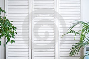 White folding louver screen, screen with indoor green plants