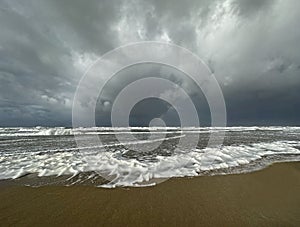 white foma on the beach of Texel Netherlands photo