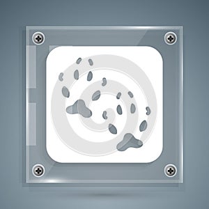 White Fox paw footprint icon isolated on grey background. Square glass panels. Vector