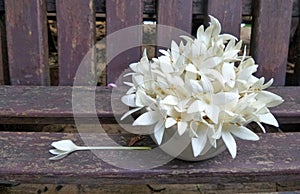 White fragant flowers in the vase on wooden chair in the garden