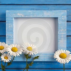 White frame on blue wooden background and daisy chamomile flowers illustration