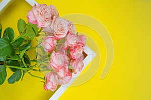 The white frame lies diagonally to the side, inside there is a bouquet of pink roses on a bright yellow background