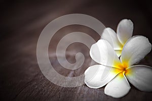 White frangipani flowers on wooden background with shallow depth of field