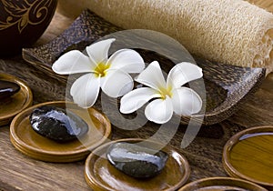 White frangipani with zen stone