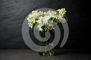 White freesia flowers on black background