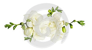 White freesia flowers and buds in a floral arrangement