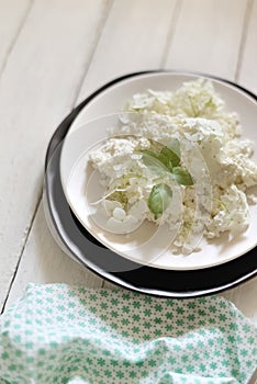 White fresh rustic cottage cheese