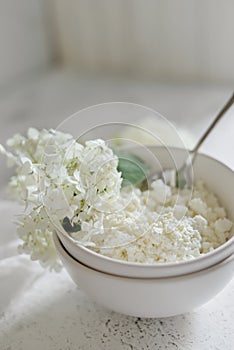 White fresh rustic cottage cheese
