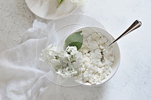 White fresh rustic cottage cheese