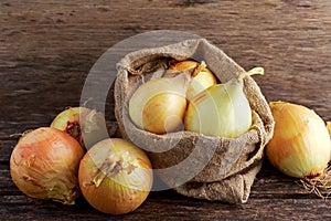 White freshly harvested onion in burlap bag on wooden old table