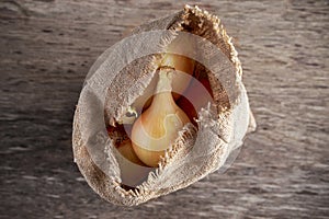 White freshly harvested onion in burlap bag on wooden old table