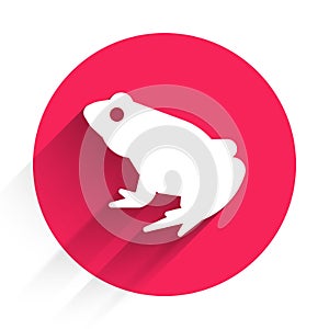 White Frog icon isolated with long shadow. Animal symbol. Red circle button. Vector