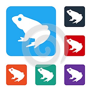 White Frog icon isolated on white background. Animal symbol. Set icons in color square buttons. Vector