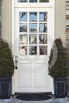 White front door to modern home flanked by plants