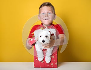 White funny puppy as a gift. Happy child boy open box with dog with a bow. A present for birthday. School child in red