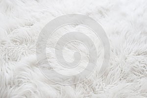 White fur background