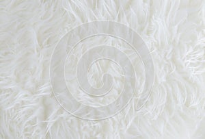 White fur texture background