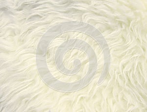 White fur texture background