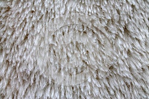 White fur, texture for background