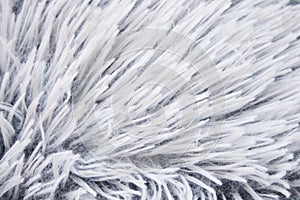 White fur texture background