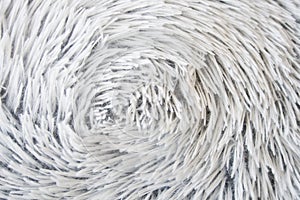 White fur texture background