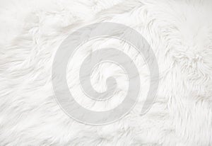 White fur texture