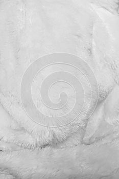 White fur texture
