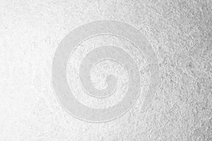 White fur texture full background