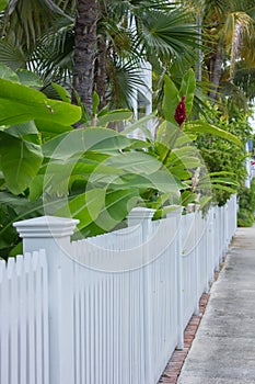 White garden fence in Key West