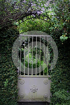 White garden gate surrounded by vines