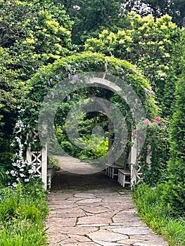 White garden trellis arch with plants and flowers growing on it
