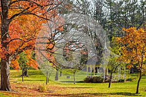 White Gazebo in Fall Forest with Yellow Trees