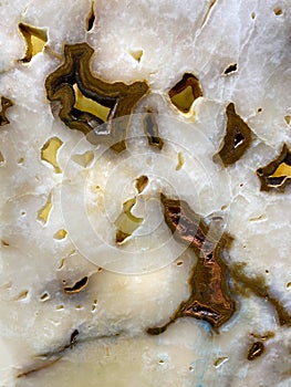 White Geode Slice Closeup pattern