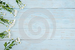 White gerbera flower border with copy space