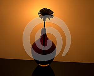 White Gerbera flower in a round red vase on a dark orangeyellow background