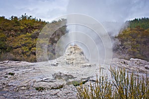 White geyser in geothermal park in New Zealand
