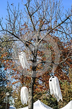 white ghosts on a tree. decorations for the Halloween holiday.