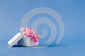 White gift box with beautiful pink roses. Pastel blue background with space for copy. Birthday or anniversary concept