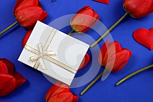 White gift box lies on a blue background with tulips