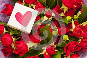 White gift box with red heart on the background of bouquet of red roses in purple wrapping paper. Valentine.