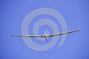 White glider with blue cloudless sky