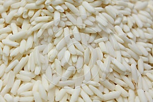 White Glutinous Rice photo