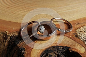 White Gold and Diamond Wedding and Engagement Rings Arranged on Rustic Wood Tree Slice