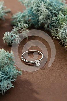 White gold engagement ring with diamond on brown background with moss