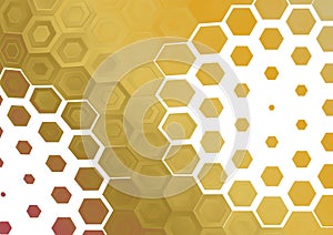 White and Gold Hexagon Background